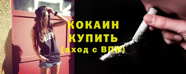 мет Дмитров