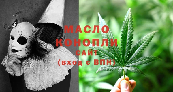 таблы Гусев