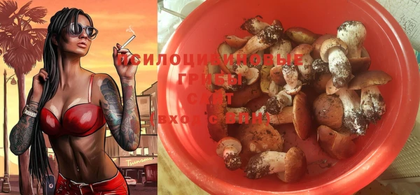 таблы Гусев