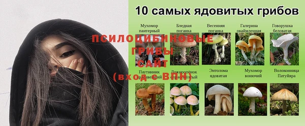 jwh Дмитриев