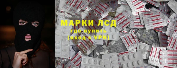 таблы Гусев