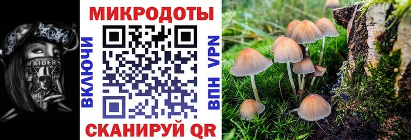 где купить   Орлов  KRAKEN ТОР  Псилоцибиновые грибы MAGIC MUSHROOMS 